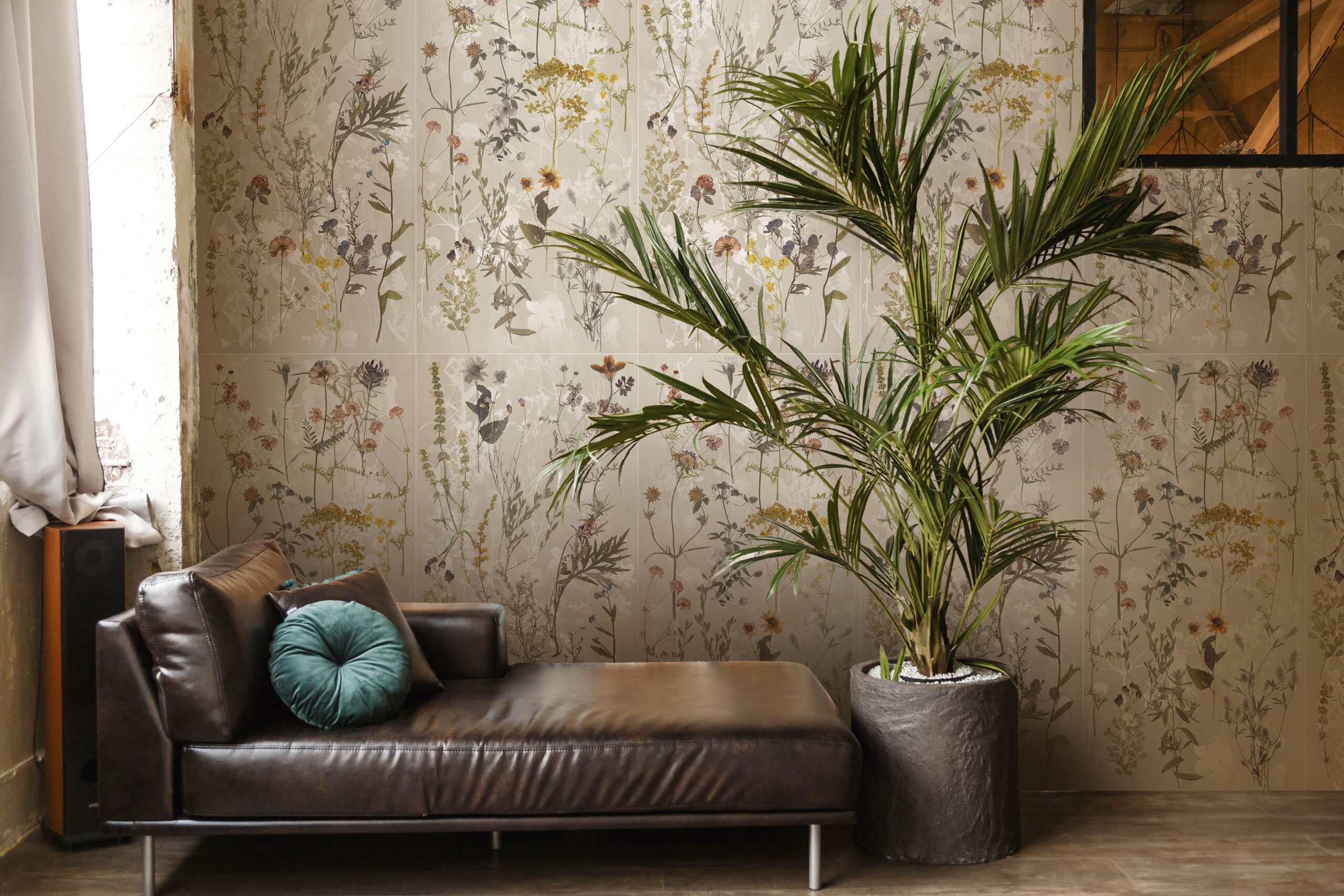 Black leather couch, sofa with green potted palm tree plant in p