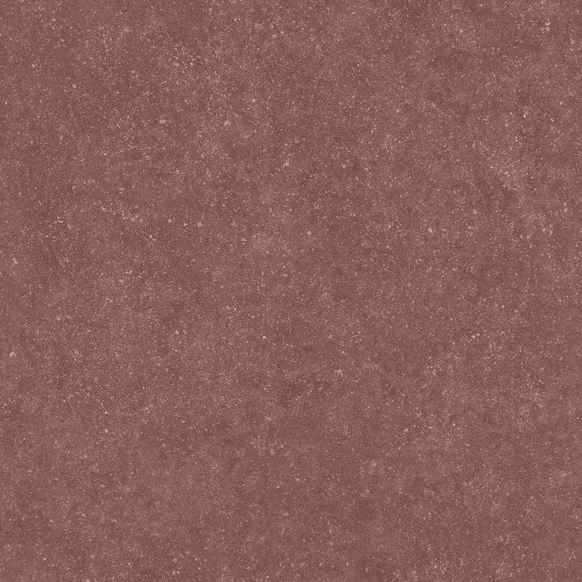 8690229-matone-4972